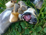 Fotoblog ari18