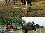 Fotoblog mailena13