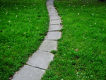Fotoblog meduzja