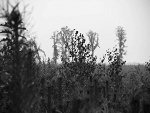 Fotoblog heartgram
