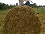Fotoblog biczyss13