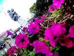 Fotoblog jamsetaka