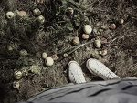 Fotoblog ioiayu