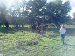 Fotoblog cocommit