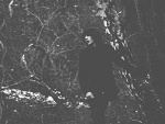 Fotoblog xsloane