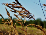 Fotoblog wonman