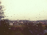Fotoblog majesticc