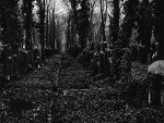 Fotoblog czucsmierc