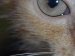 Fotoblog justfon282812