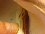 Fotoblog grabla