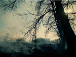 Fotoblog dasty