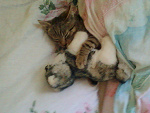 Fotoblog 11tika11
