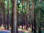 Fotoblog ramoneska11