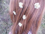 Fotoblog humanwithoutheart