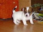 Fotoblog iga01032002
