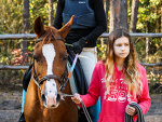 Fotoblog stanka