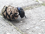 Fotoblog myfotoart