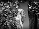 Fotoblog carglamm