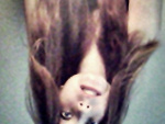 Fotoblog funnyfeelings