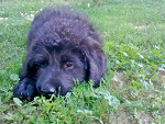 Fotoblog gooooodday