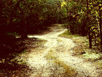Fotoblog fellitnow