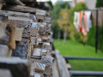 Fotoblog foxsay