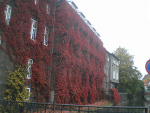 Jesień