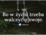 Fotoblog wysokootakkx3