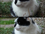 Fotoblog werabrinley
