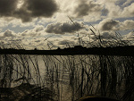 Fotoblog misiak28