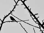 Fotoblog klaudiacphoto