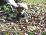 Fotoblog ptysiu798