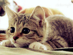 Fotoblog patrycjahaha