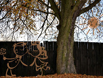 Fotoblog gallusgallus