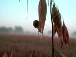 Fotoblog calmandeat