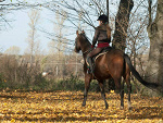 Fotoblog domi57