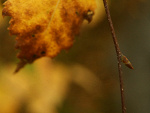 Fotoblog wedrujacazamarzeniami