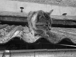 Fotoblog justynka21