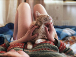 Fotoblog sussymik