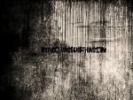 Fotoblog artish