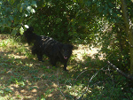 Fotoblog minji