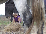 Fotoblog trzebiska