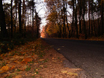 Fotoblog iilovexd