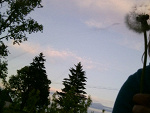 Fotoblog nattie10982