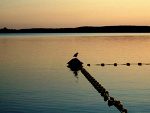 Fotoblog isabels