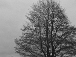 Fotoblog sowaaax