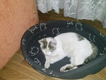 Fotoblog vladeg