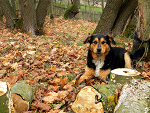 Fotoblog coloredsun