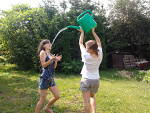 Fotoblog wabik