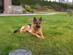 Fotoblog paandzik